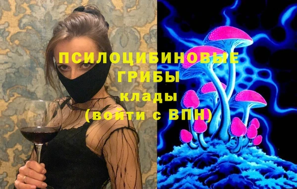 амф Абаза