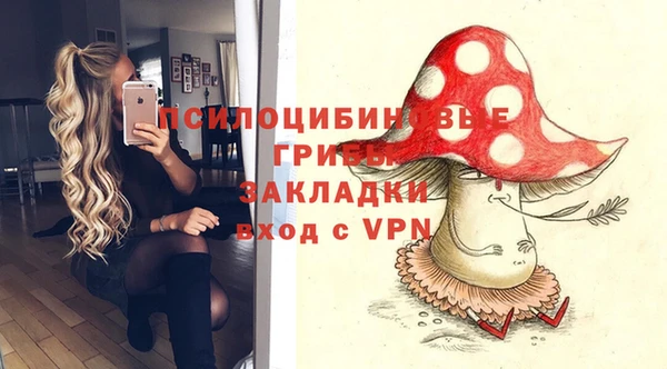 ПСИЛОЦИБИНОВЫЕ ГРИБЫ Абинск