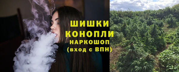ПСИЛОЦИБИНОВЫЕ ГРИБЫ Алзамай